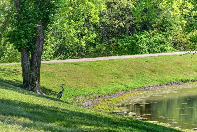 1034 Five Coves Trce, Gallatin, TN 37066