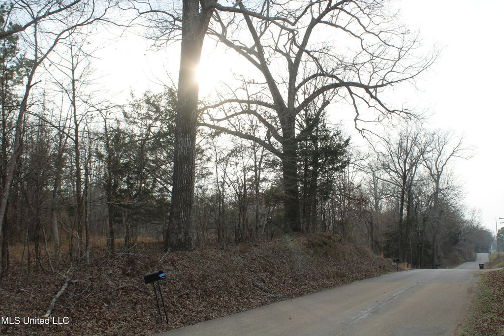 797 Gardner Road, Holly Springs, MS 38635 — photo 2