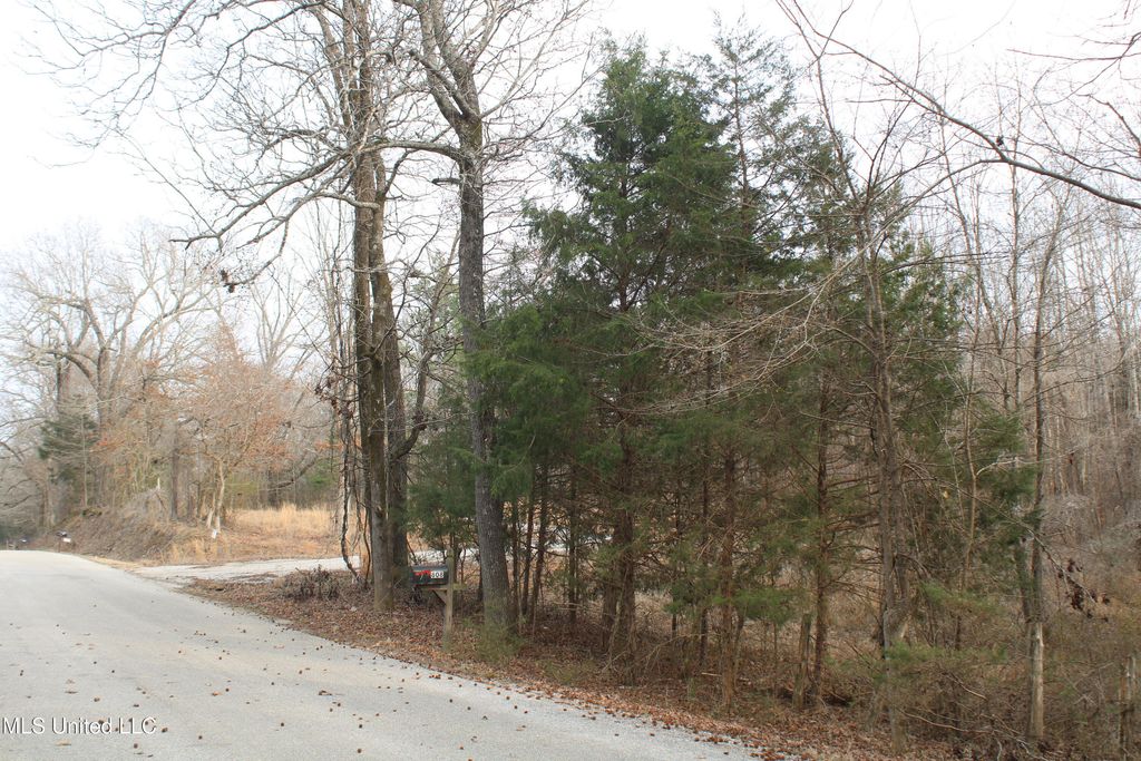 797 Gardner Road, Holly Springs, MS 38635 — photo 3