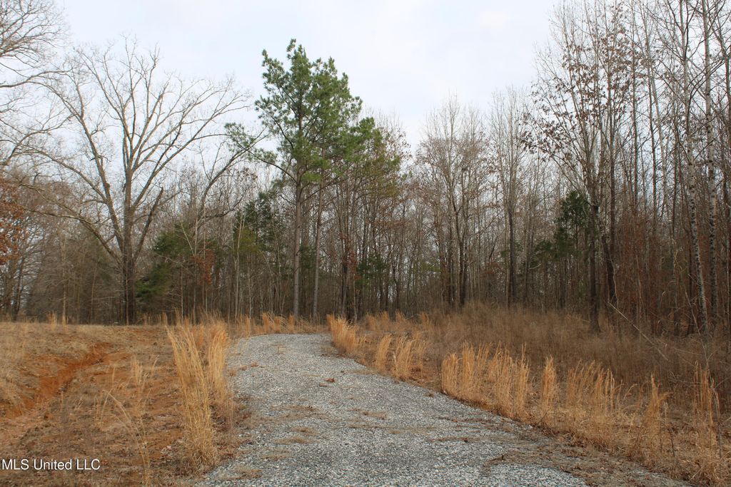 797 Gardner Road, Holly Springs, MS 38635 — photo 4