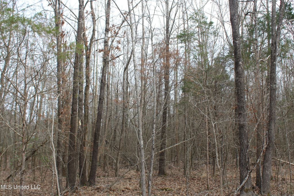 797 Gardner Road, Holly Springs, MS 38635 — photo 5