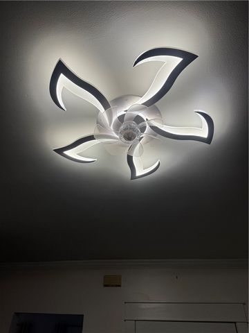 216 South Plain Street, Ithaca City, NY 14850