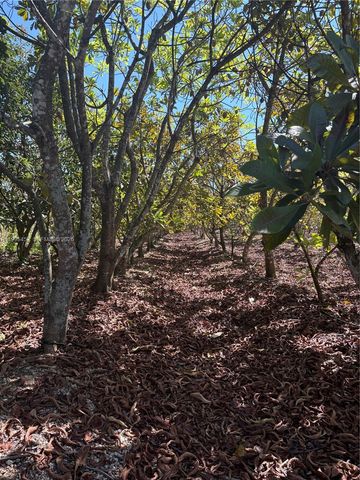 184XX SW 207, Miami, FL 33187