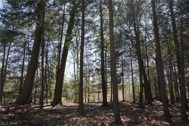 4706 Diane Drive, Ashtabula, OH 44004