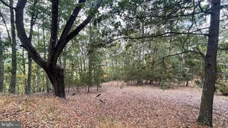 LOT 8 WHITETAIL MOUNTAIN RD, Romney, WV 26757