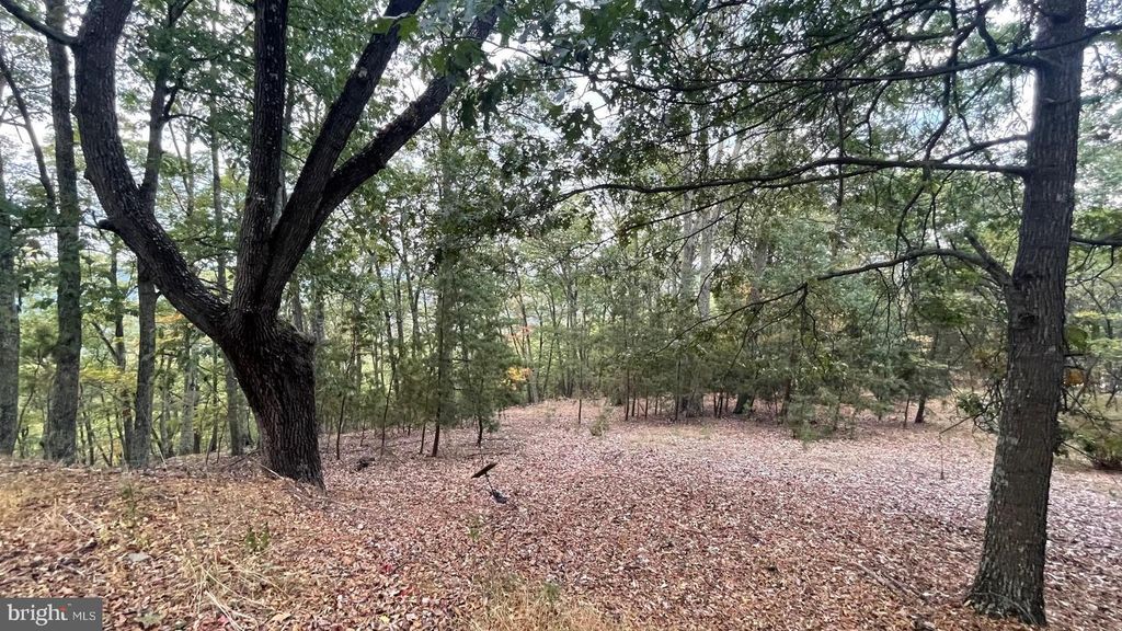LOT 8 WHITETAIL MOUNTAIN RD, Romney, WV 26757