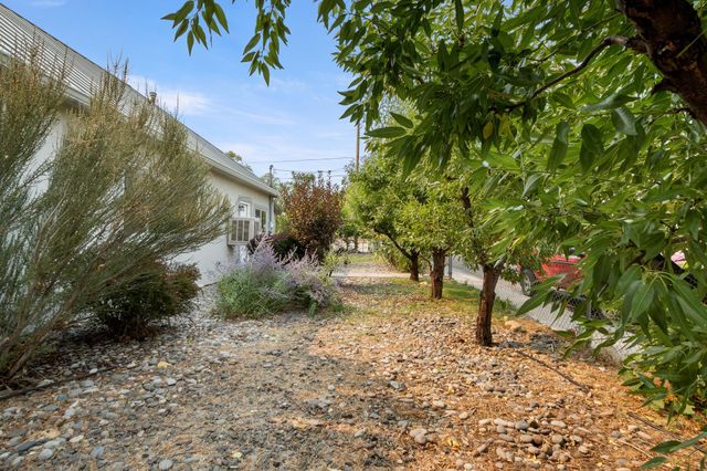 139 W 6th Street, Palisade, CO 81526