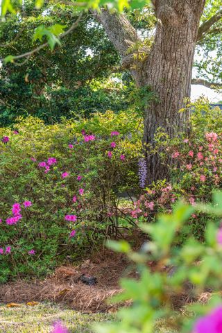 2227 Woodland Shores Road, Charleston, SC 29412