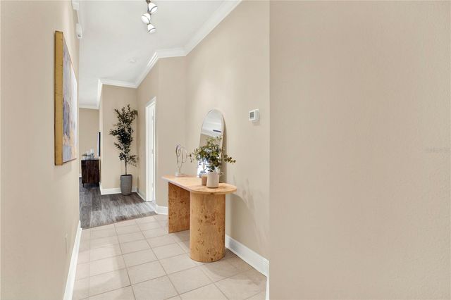 19428 HASKELL PLACE, Land O Lakes, FL 34638