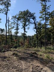 0 Hester Beasley Rd, Nashville, TN 37221