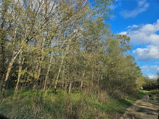 TBD Briarhill Lot 119 Lane, Coldspring, TX 77331