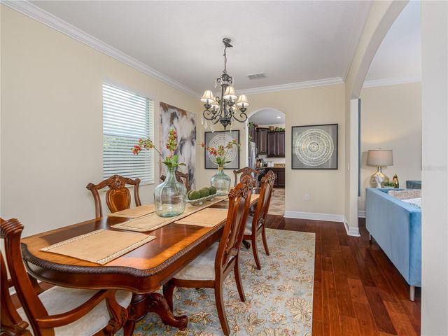 20213 REGAL FERN COURT, Tampa, FL 33647