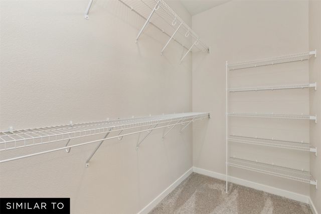 2824 NW Reinhart Drive, Ankeny, IA 50023