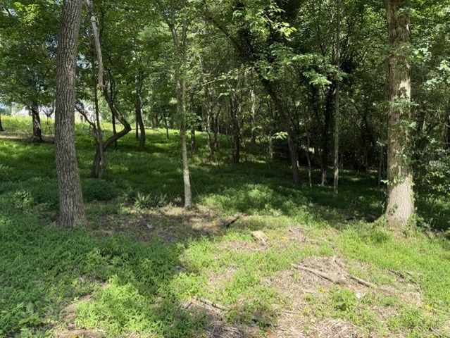 0 Lot 6 Clear Creek Preserve Way, Ellijay, GA 30536