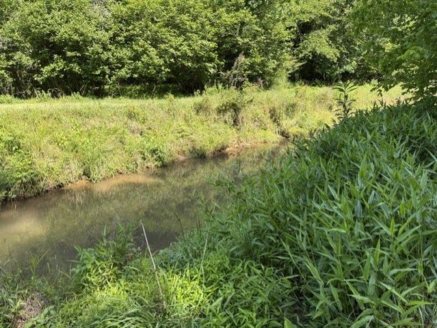 0 Lot 6 Clear Creek Preserve Way, Ellijay, GA 30536