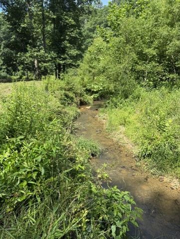 0 Lot 6 Clear Creek Preserve Way, Ellijay, GA 30536