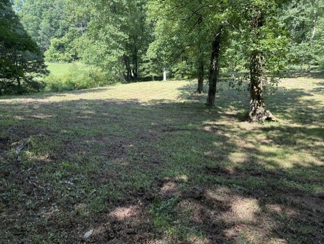 0 Lot 6 Clear Creek Preserve Way, Ellijay, GA 30536