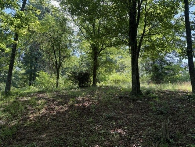 0 Lot 6 Clear Creek Preserve Way, Ellijay, GA 30536