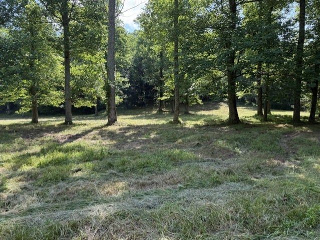 0 Lot 6 Clear Creek Preserve Way, Ellijay, GA 30536