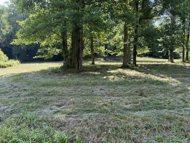 0 Lot 6 Clear Creek Preserve Way, Ellijay, GA 30536