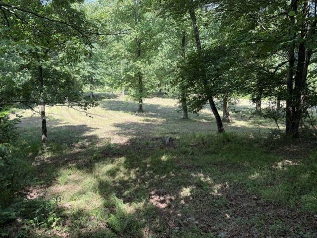 0 Lot 6 Clear Creek Preserve Way, Ellijay, GA 30536
