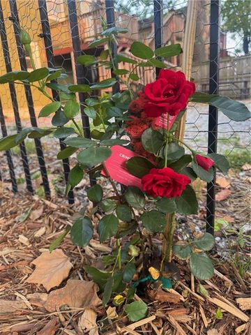 4612 Tracy Avenue, Kansas City, MO 64110