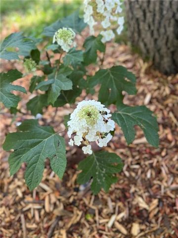 4612 Tracy Avenue, Kansas City, MO 64110