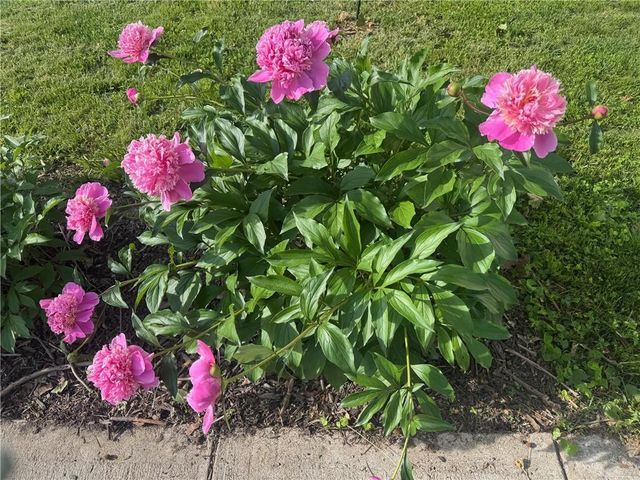 4612 Tracy Avenue, Kansas City, MO 64110