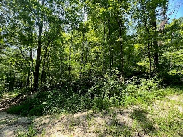 322 Baggett Road, Ringgold, GA 30736