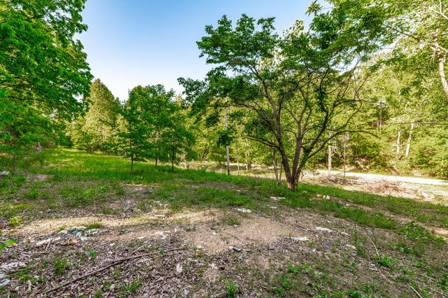 1170 James Brown Rd, Westmoreland, TN 37186