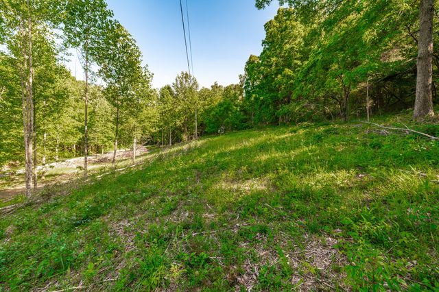 1170 James Brown Rd, Westmoreland, TN 37186