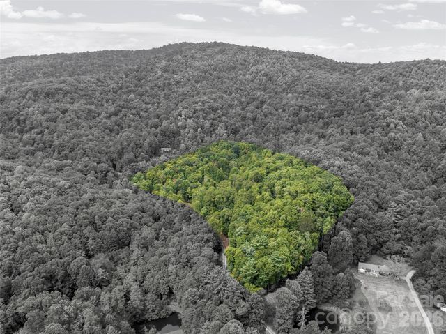 000 Pond Road, Spruce Pine, NC 28777