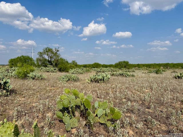 TBD LOT 62 E Cr 1647, Moore, TX 78057