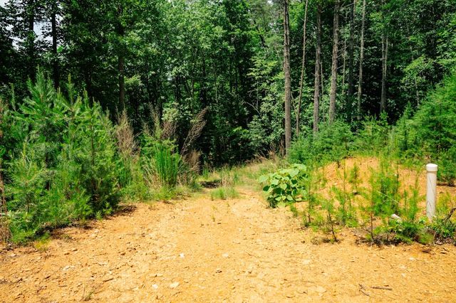 Lot 11 Quail Cove Circle, Warne, NC 28909