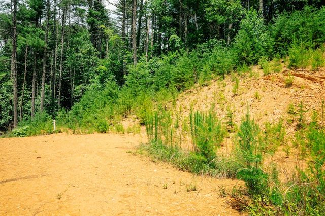 Lot 11 Quail Cove Circle, Warne, NC 28909