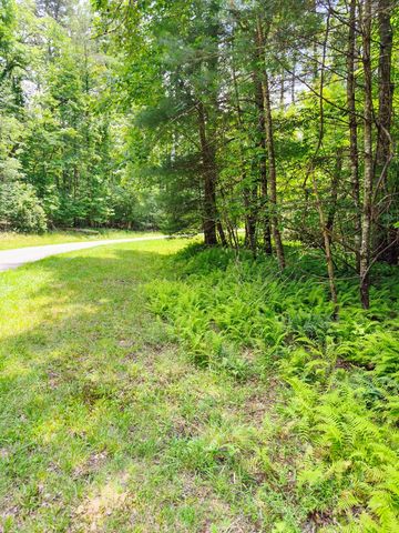 Lot 11 Quail Cove Circle, Warne, NC 28909