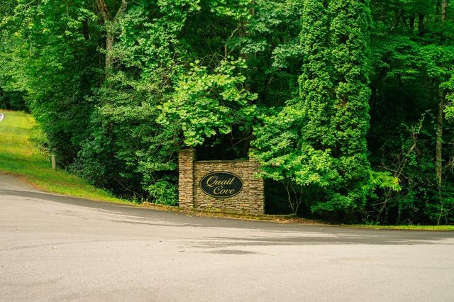 Lot 11 Quail Cove Circle, Warne, NC 28909