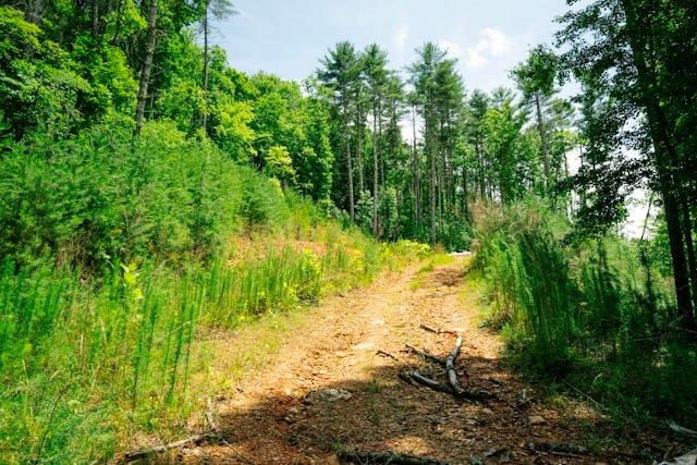 Lot 11 Quail Cove Circle, Warne, NC 28909