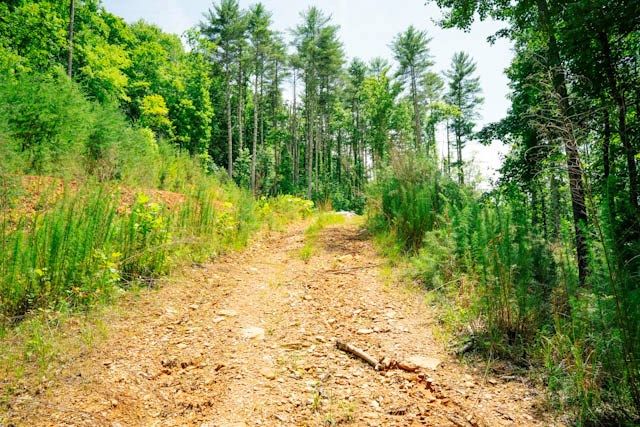 Lot 11 Quail Cove Circle, Warne, NC 28909