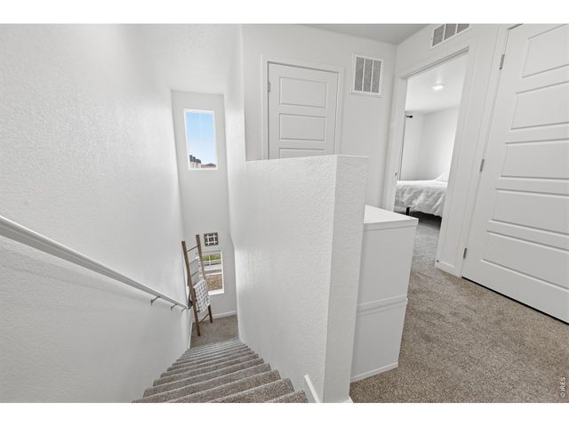438 Mountain Bluebird Dr, Johnstown, CO 80534