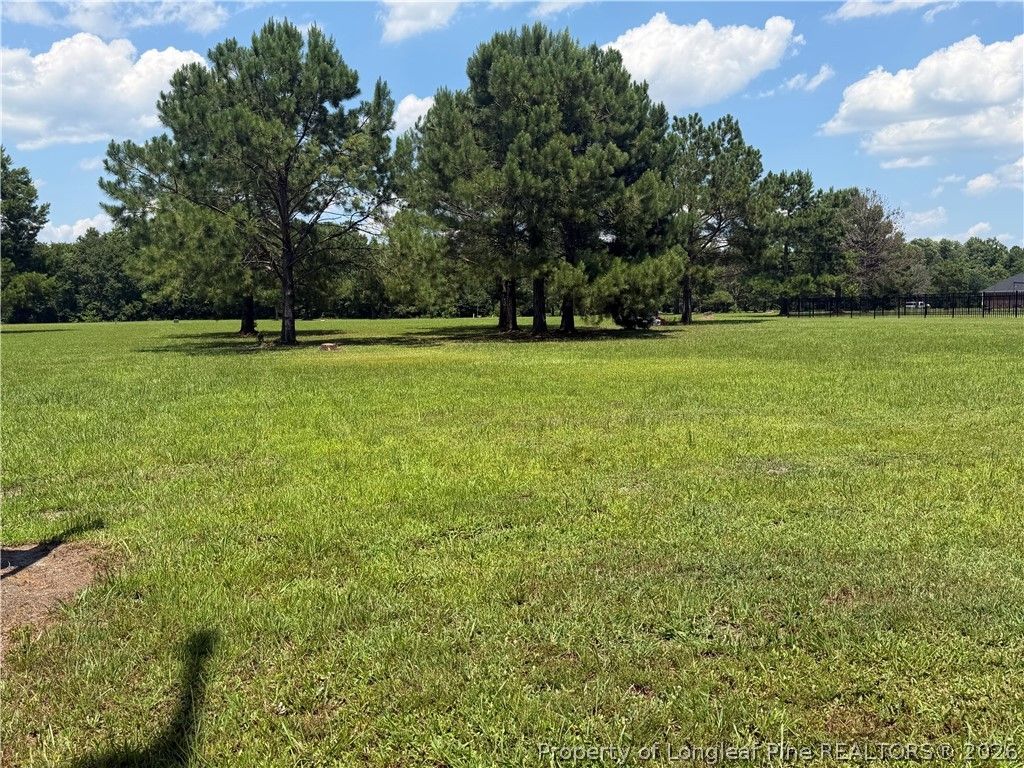 Lt 94 Old Tower Road, Lumberton, NC 28360 — photo 3