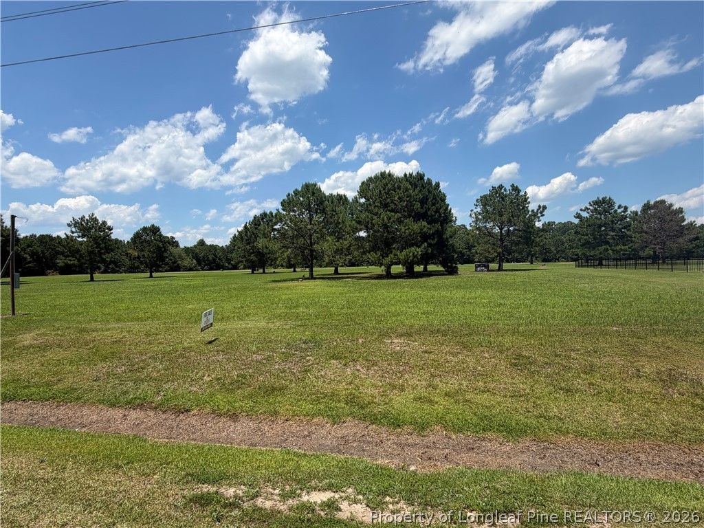 Lt 94 Old Tower Road, Lumberton, NC 28360 — photo 5
