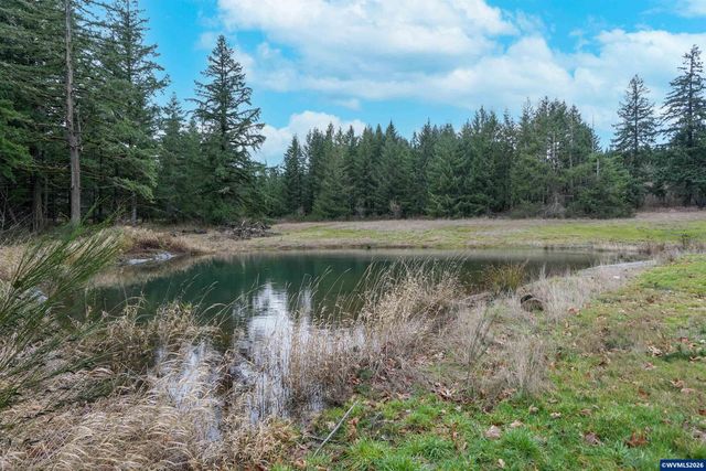 19724 DeSantis Ln SE, Silverton, OR 97381