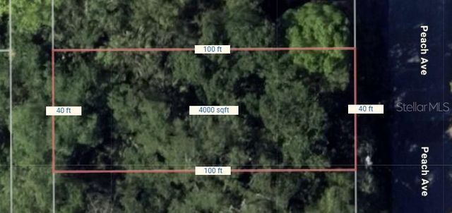 PEACH AVENUE, Sanford, FL 32771