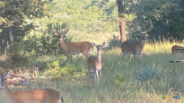 4360 Flint Oak Drive, Belton, TX 76513