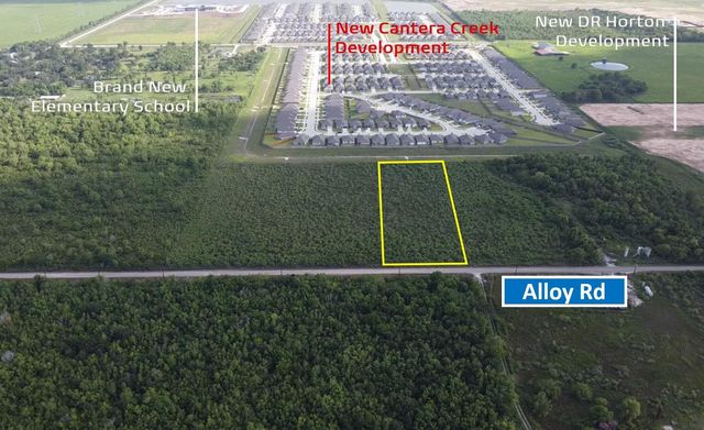 TBD Alloy Rd, Rosharon, TX 77583