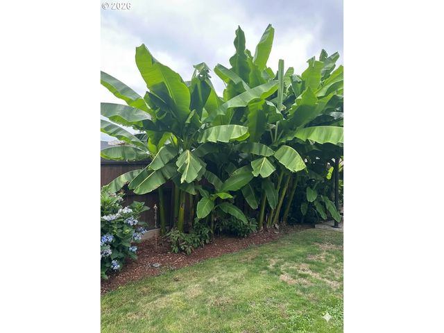 10907 Ne 88TH St, Vancouver, WA 98662