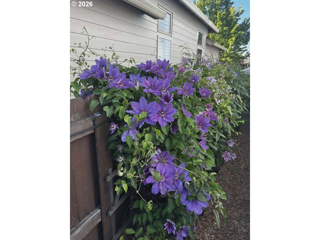 10907 Ne 88TH St, Vancouver, WA 98662