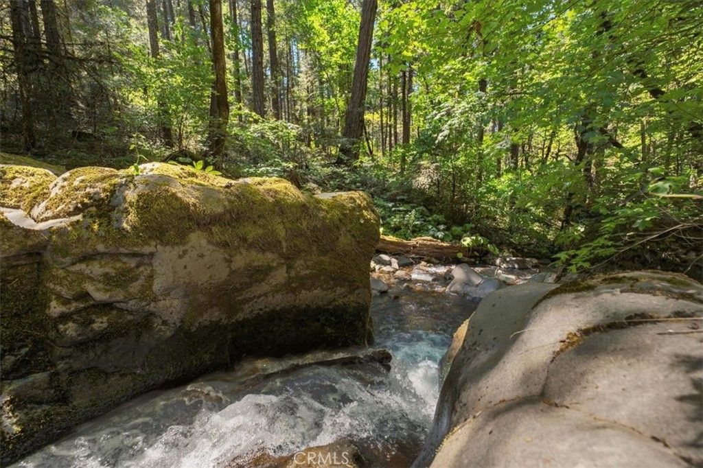 Image 9 of property listing at 20929 Fall Creek Rd, Castella, CA 96017