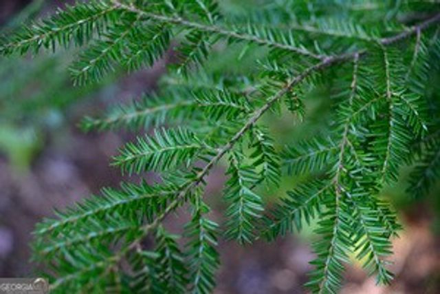 865 Camp Creek Road, Murphy, NC 28906